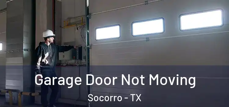  Garage Door Not Moving Socorro - TX