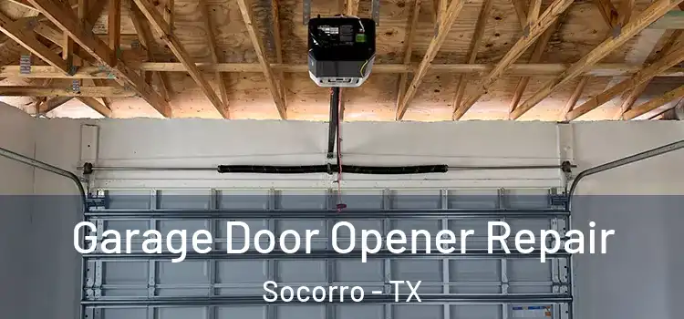  Garage Door Opener Repair Socorro - TX