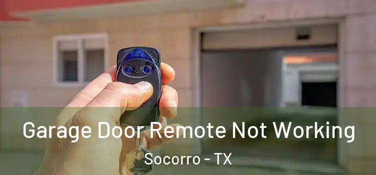  Garage Door Remote Not Working Socorro - TX