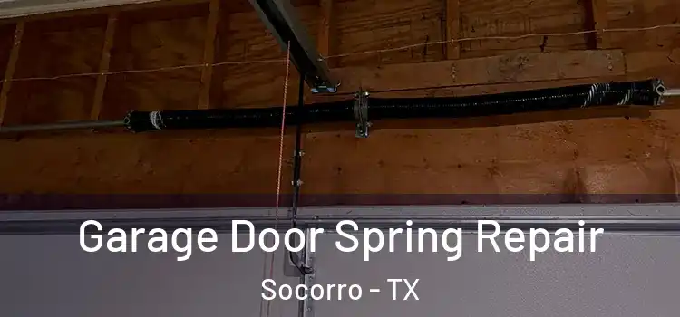  Garage Door Spring Repair Socorro - TX