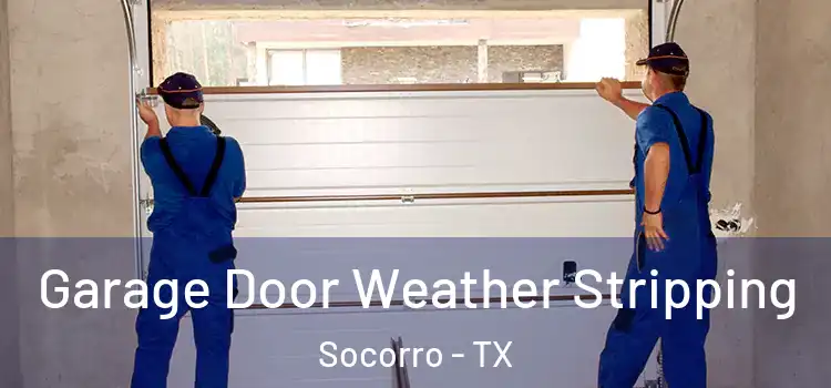  Garage Door Weather Stripping Socorro - TX