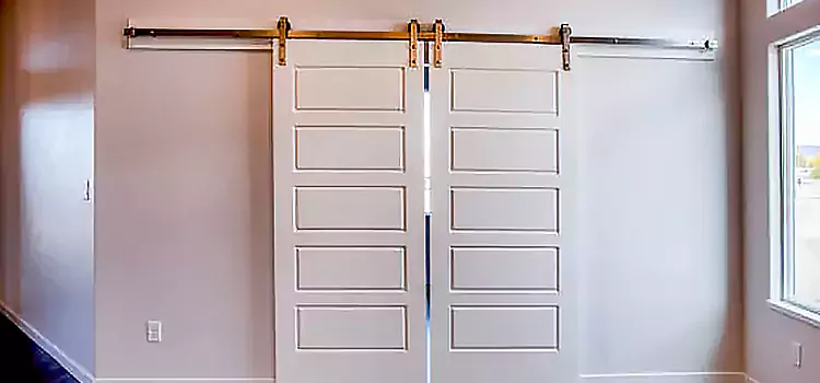 Glass Barn Door with Installation Hardware Kit Socorro