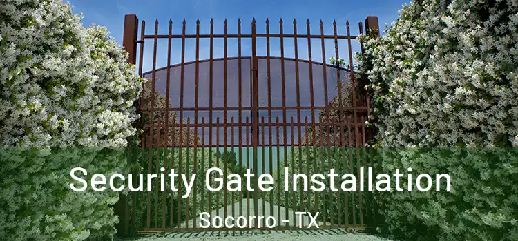  Security Gate Installation Socorro - TX